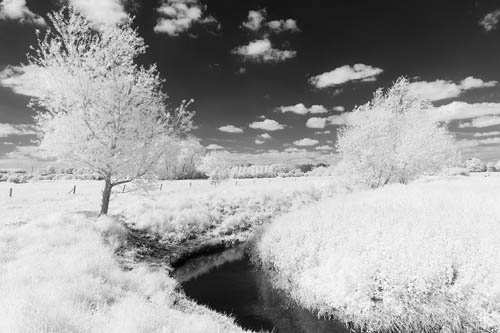 Photo taken with Zomei 680nm IR filter and full spectrum modified camera. Custom Black and White conversion from colour to give a dark sky.