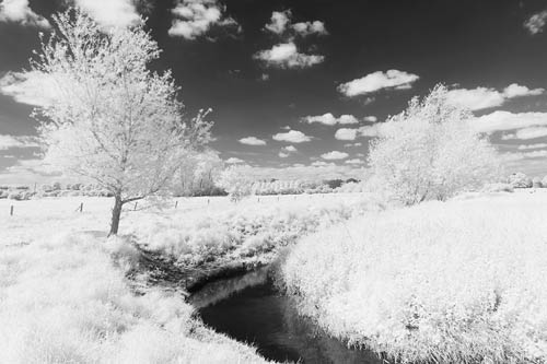 Photo taken with Zomei 680nm IR filter and full spectrum modified camera