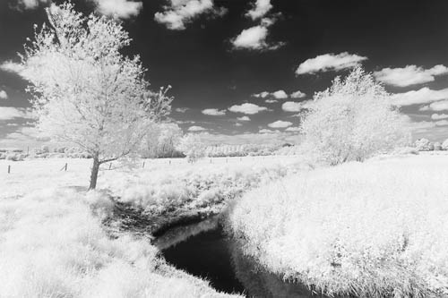 Photo taken with Zomei 760nm IR filter and full spectrum modified camera