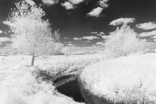 Photo taken with Zomei 850nm IR filter and full spectrum modified camera