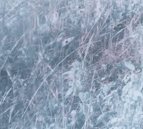 100% crop of long exposure photo taken with Fuji 14mm f/2.8 lens and 760nm infrared filter on unconverted camera