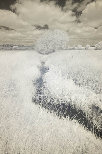 Photo taken with Fuji 16-50mm lens at 16mm and 760nm infrared filter