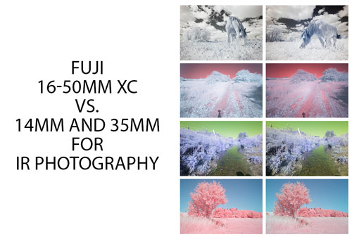 Fuji 16-50mm XC vs 14mm and 35mm for IR photography