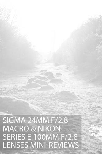 Sigma 24mm f2.8 macro & Nikon Series E 100mm f2.8 lenses mini-reviews