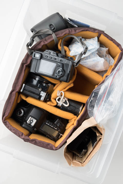 Camera bodies in a camera bag insert in a plastic tub