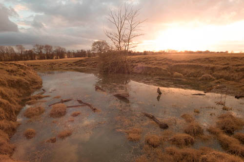 Image of sunset over a pond in a field taken with full spectrum converted Fuji X-M1 with Fuji 14mm lens.