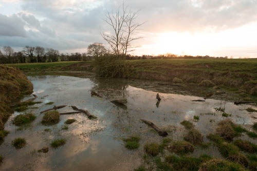 Image of sunset over a pond in a field taken with standard Fuji X-A1 with Fuji 14mm lens.