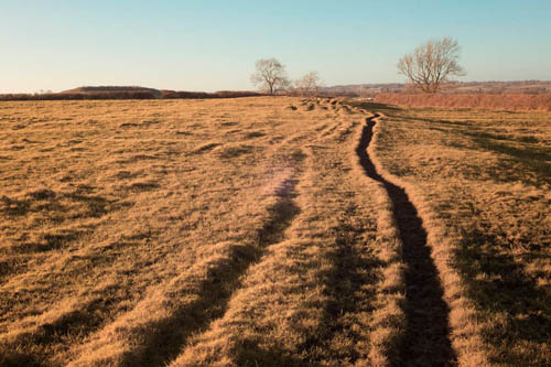 Image of a track across a field taken with full spectrum converted Fuji X-M1 with Fuji 27mm lens.