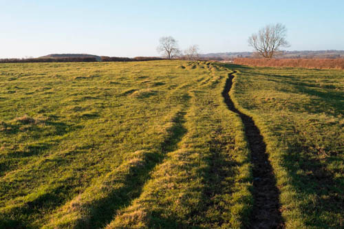 Image of a track across a field taken with full spectrum converted Fuji X-M1 with Fuji 27mm lens and Tiffen Standard Hot Mirror filter.