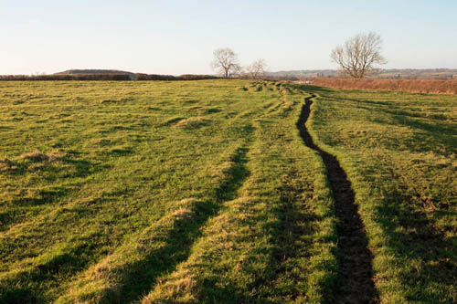 Image of a track across a field taken with standard Fuji X-A1 with Fuji 27mm lens.