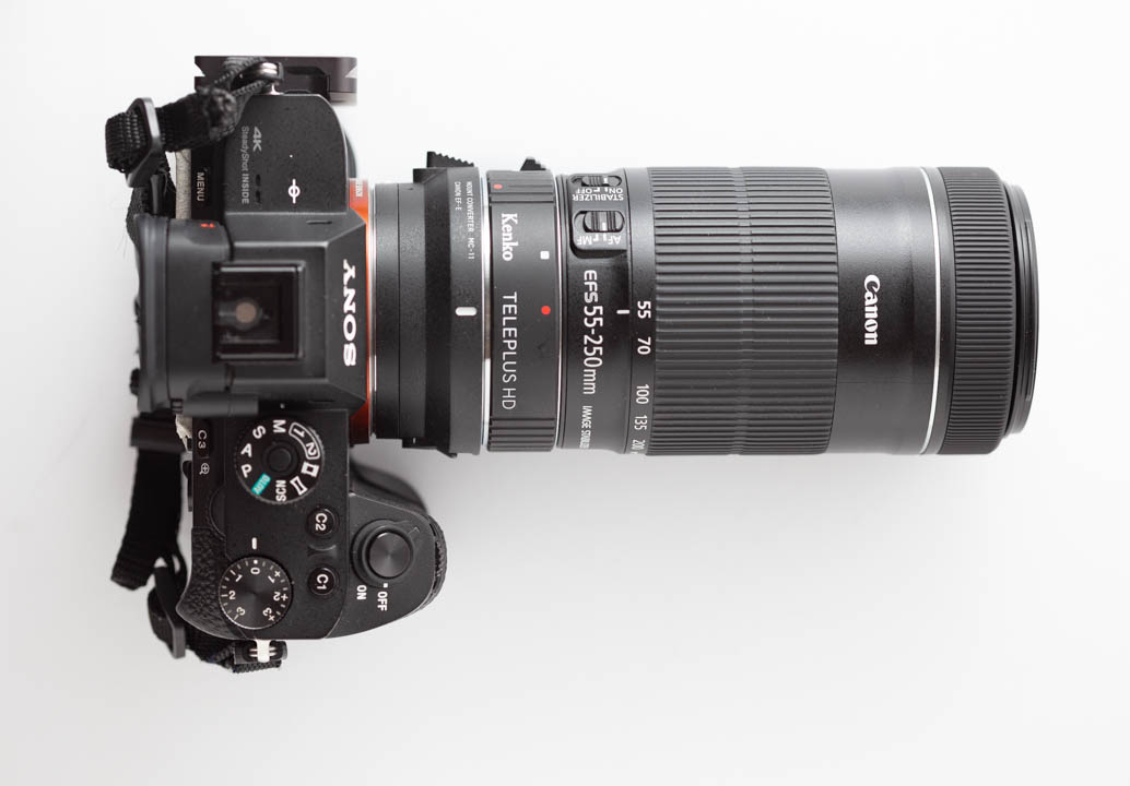 Sony A7R II with Sigma MC-11 adapter, Kenko Teleplus HD teleconverter, and Canon EF-S 55-250mm f/4-5.6 IS STM lens