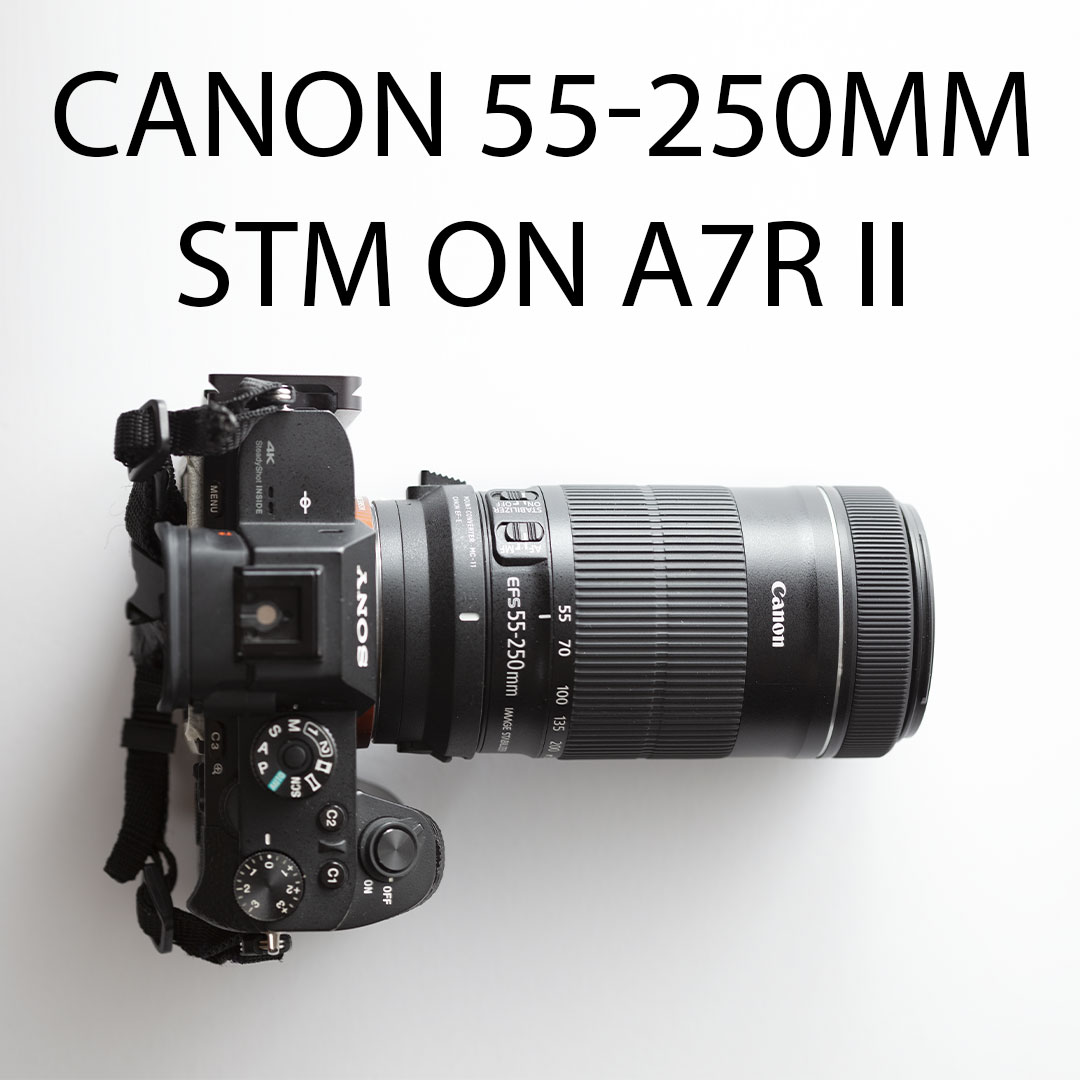 Canon 55 on sale 250 lens