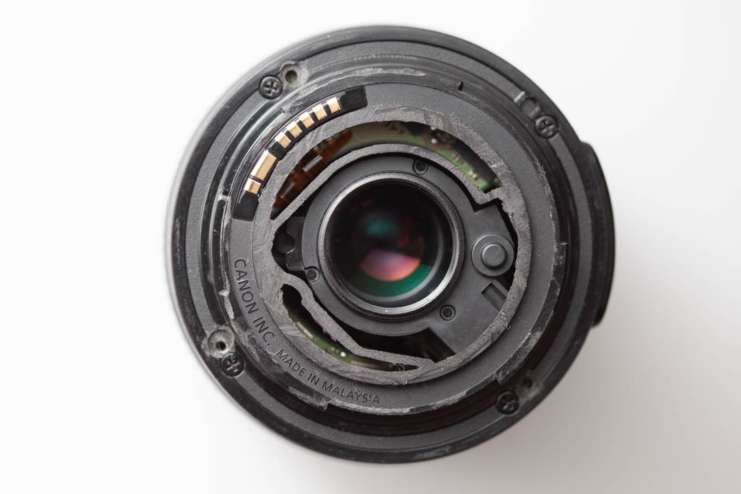 Canon 55-250mm STM on A7R II · David Kennard Photography