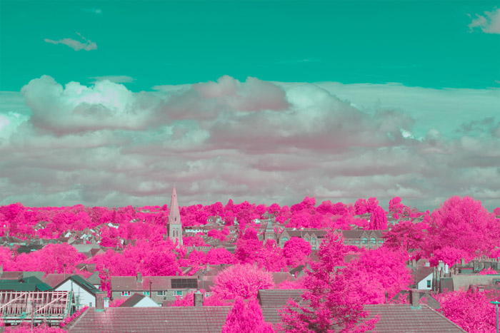 Infrared photograph taken using a CB565 filter with a +119° Hue shift applied