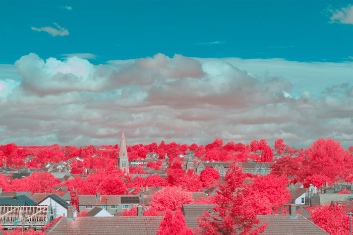 Infrared photograph taken using a CB565 filter with a +143° Hue shift applied