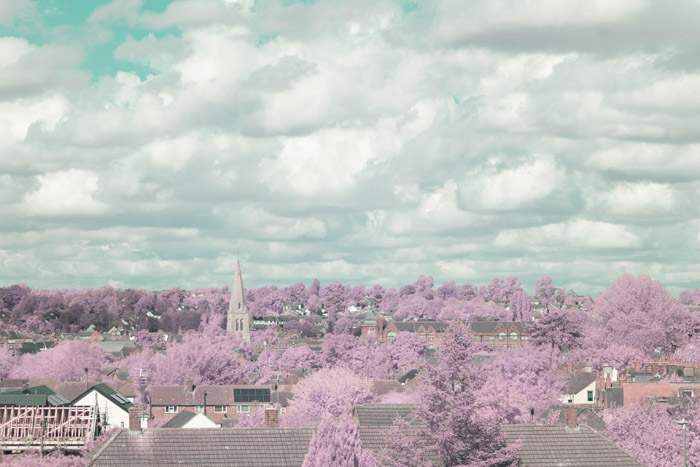 Infrared photograph taken using a QB19 + JB470 filter stack