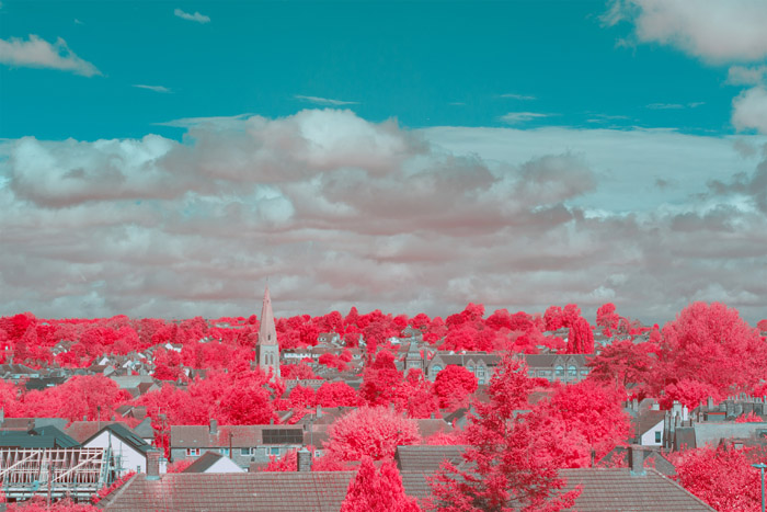 Infrared photograph taken using a Red R1 filter with a +155° hue shift applied