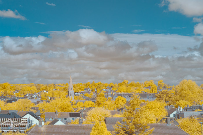 Infrared photograph taken using a Red R1 filter with a red - blue channel swap applied