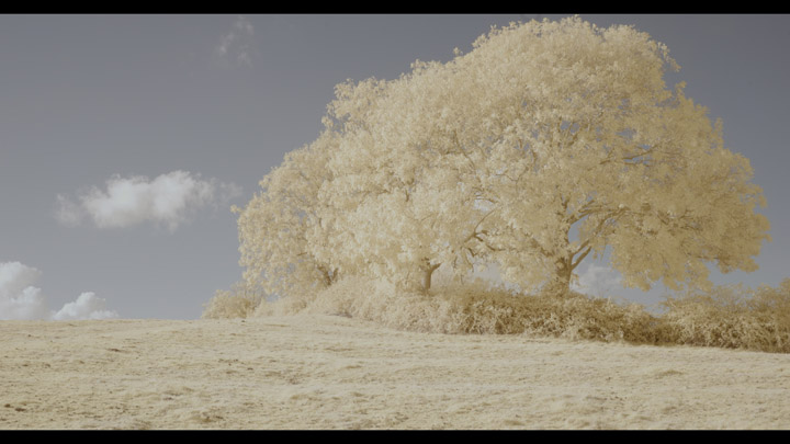 Frame from video taken with Red R1 filter, using white balance preset, white balance set on clouds in post and Red-Blue channel swap applied