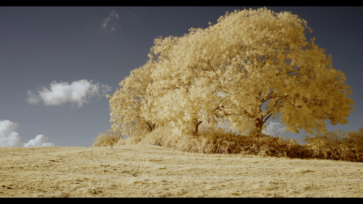 Frame from video taken with Red R1 filter, using white balance preset, white balance set on clouds in post, Red-Blue channel swap applied, strong curves adjustment