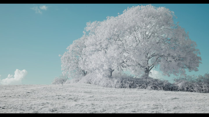 Frame from video taken with plastic Hitech ND0.6 filter, using white balance preset for Zomei 720nm filter