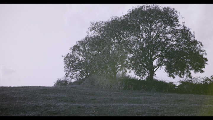 Frame from video taken with Baader U 'Venus' filter, using white balance preset, at ISO 6400