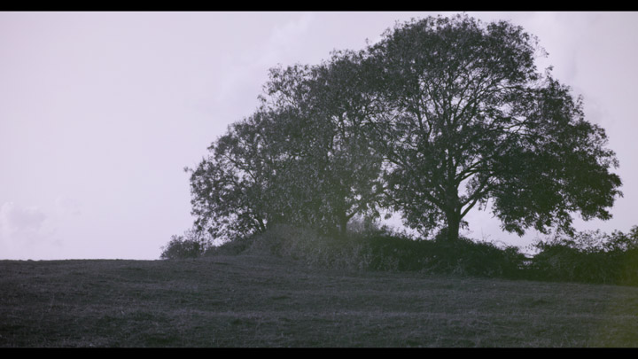 Frame from video taken with Baader U 'Venus' filter, using white balance preset, at ISO 3200