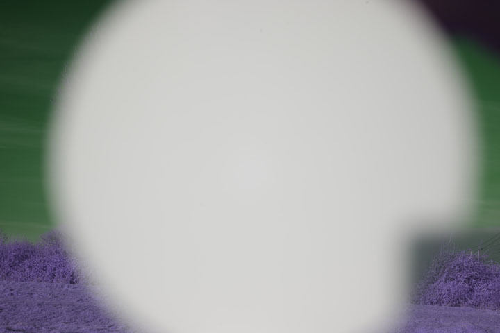 Image of white balance target PTFE disc reflected