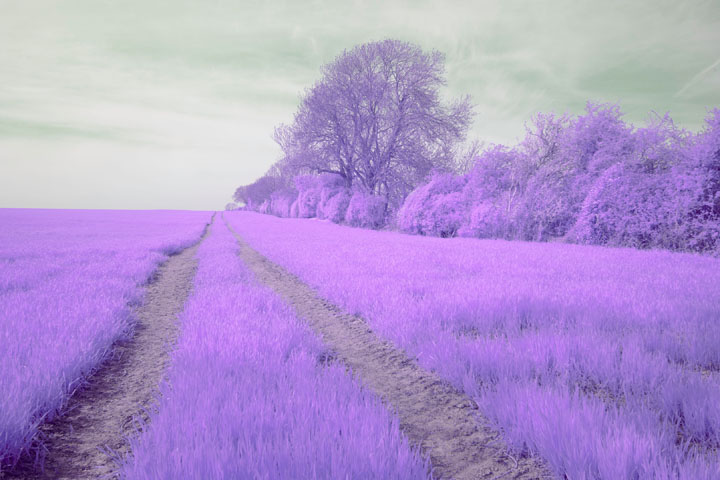 Photo taken with Schneider-Kreuznach Xenon Emerald 28mm f/2.8 lens and Lee 101 filter on full spectrum converted Canon R5 camera
