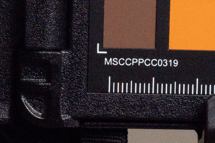 Crop of photo taken with Canon R5 at ISO 400, then exposure pushed +4.5 stops in post