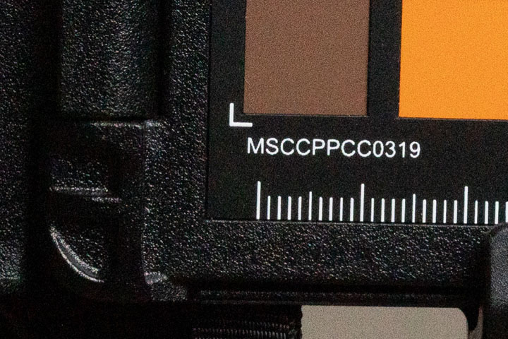 Crop of photo taken with Canon R5 at ISO 800, then exposure pushed +3.5 stops in post
