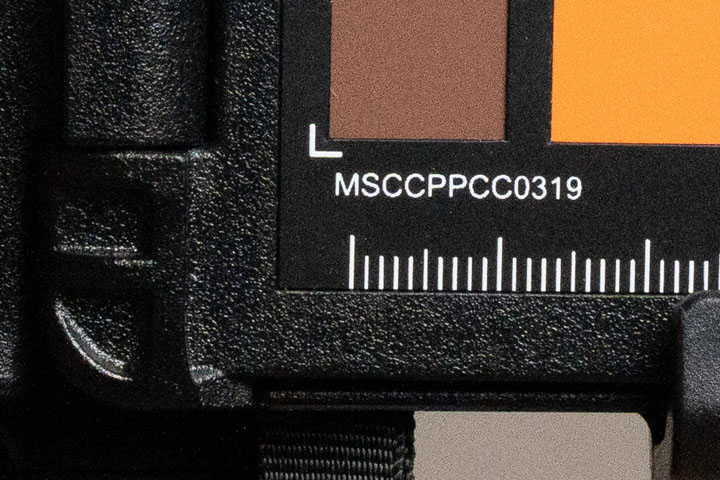 Crop of photo taken with Sony A7IV at ISO 3200, then exposure pushed +1.5 stops in post
