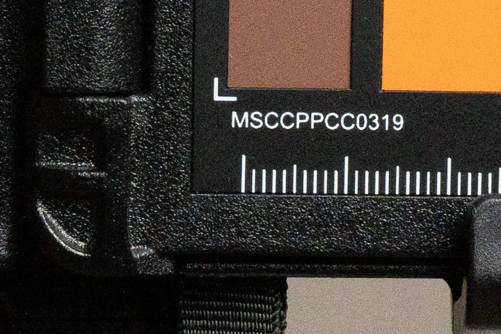 Crop of photo taken with Sony A7IV at ISO 400, then exposure pushed +4.5 stops in post