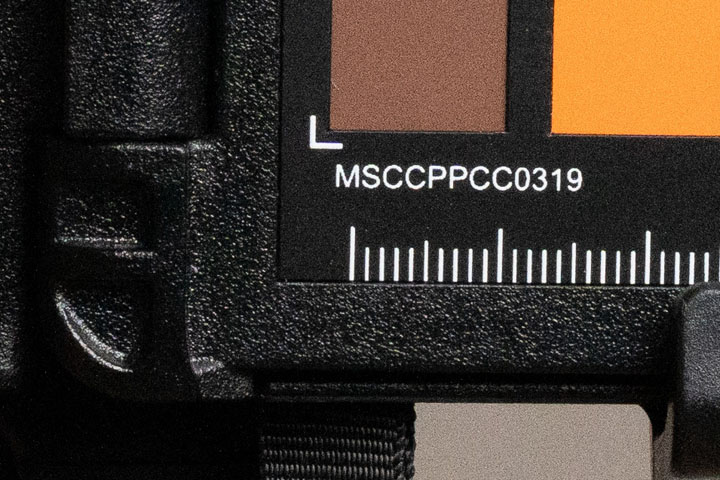 Crop of photo taken with Sony A7IV at ISO 6400, then exposure pushed +0.5 stops in post