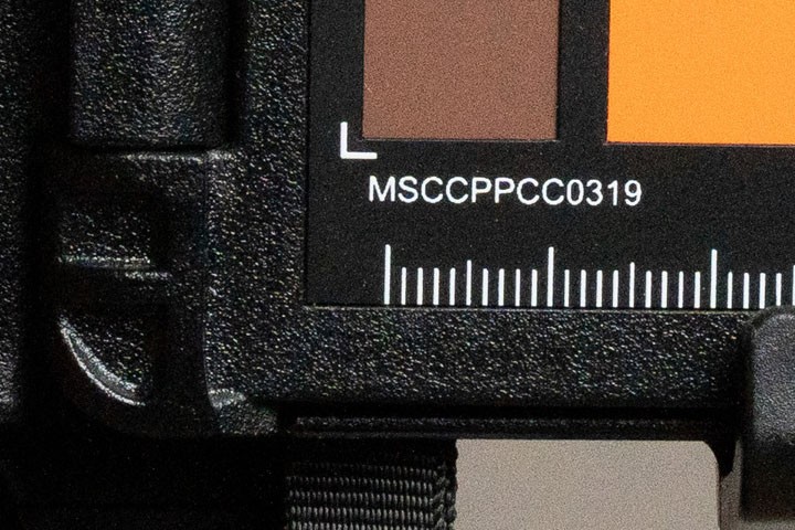 Crop of photo taken with Sony A7IV at ISO 800, then exposure pushed +3.5 stops in post