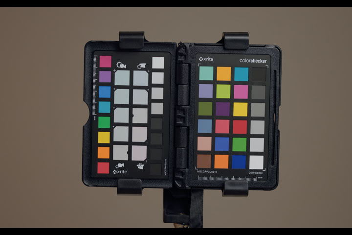 Still frame from video shot with Canon R5 H.265 Video, ISO 100, 10bit, CLog3 