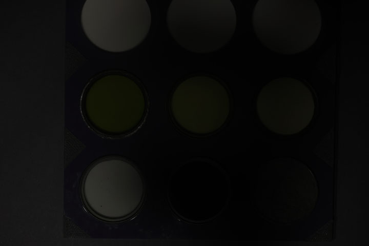 Ultraviolet photo of UV Colour Checker lit by modified Canon MT-24EX Macro Twin Flash positioned off-camera