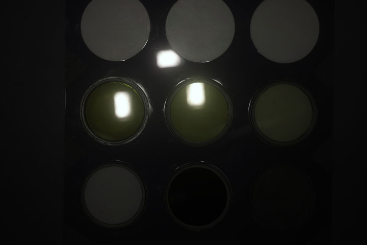 Ultraviolet photo of UV Colour Checker lit by modified Cokin Creative Flash positioned at end of lens
