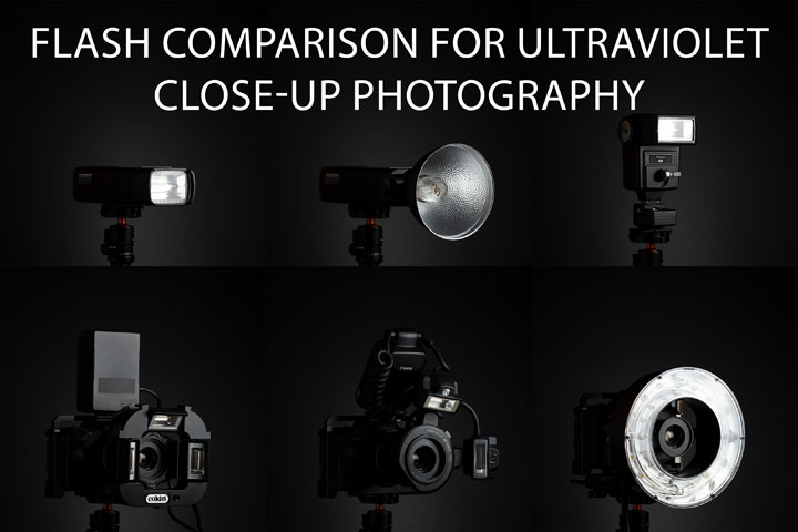Flash comparison for Ultraviolet close-up photography