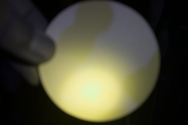 UV photograph of white balance target (PTFE disc), lit by 365nm flashlight
