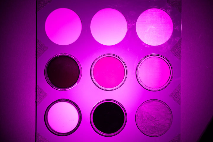 Ultraviolet photo of UV colour checker, not white balanced, lit by UltraFire WF-501B flashlight
