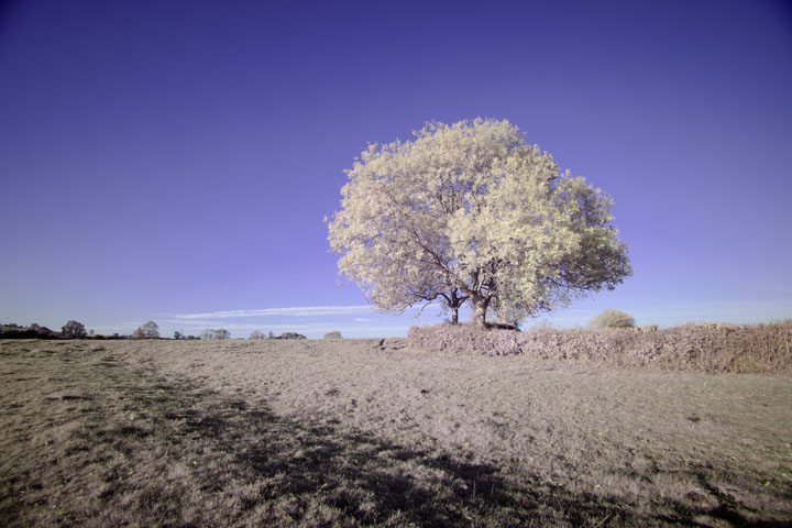 Full spectrum photo taken with Canon RF 16mm f/2.8 lens, lens corrections turned off