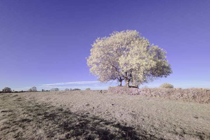 Full spectrum photo taken with Canon RF 16mm f/2.8 lens