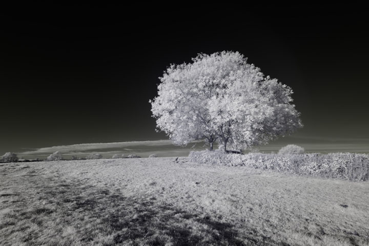 Near-infrared photo taken with Canon RF 16mm at f/8