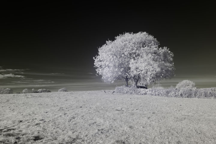 Near-infrared photo taken with Canon RF 28mm at f/8