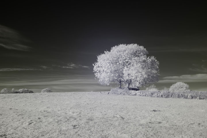 Near-infrared photo taken with Canon RF 35mm at f/8