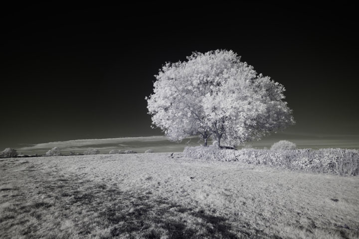 Near-infrared photo taken with Canon RF 16mm at f/2.8