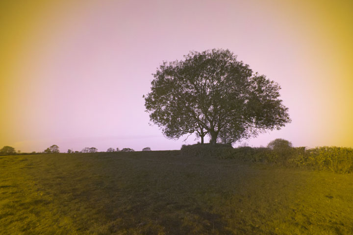 Ultraviolet photo taken with Canon RF 16mm f/2.8 lens wide open at f/2.8