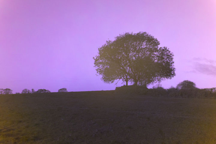 Ultraviolet photo taken with Canon RF 28mm f/2.8 lens wide open at f/2.8