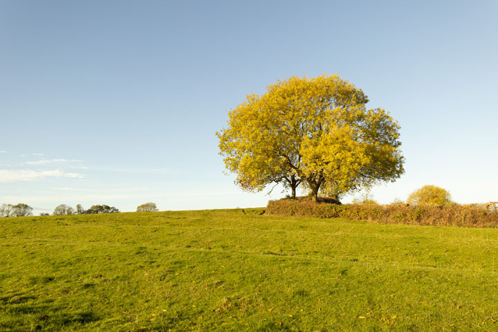 Visible light photo taken with Canon RF 28mm f/2.8 lens